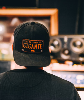 Michael Gigante