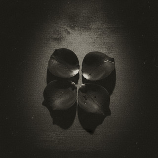 midnightpetals
