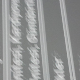 Ali Erdal112