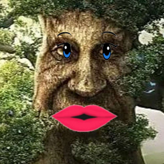 addlot