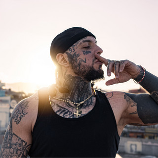 Lobo Estepario poster