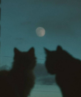 STARFALL