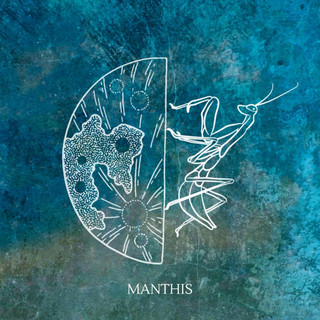 Manthis