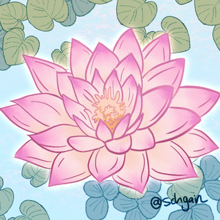 Pink Lotus