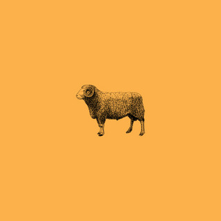 The Lost Sheep on Earth