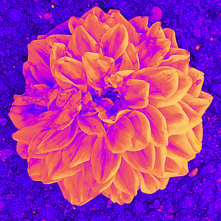 Negative Aura poster