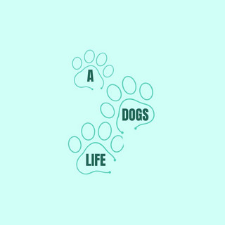 A Dogs Life