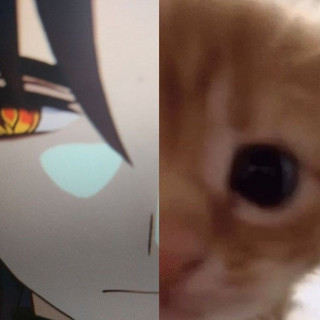 gattobladez