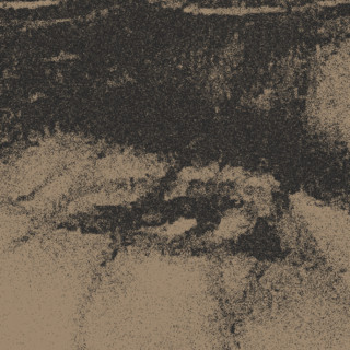 v ø i d