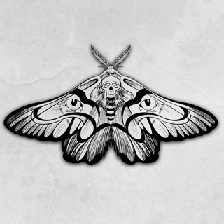 Tiny Moth
