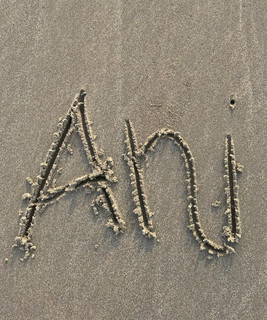 ANI