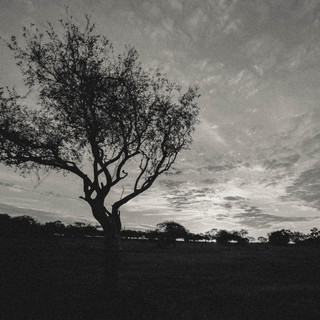 Yaguarí