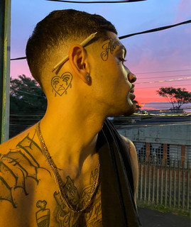 VVZ da VDP