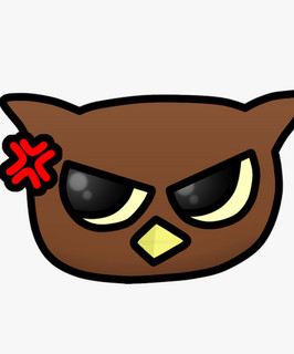 NightOwls
