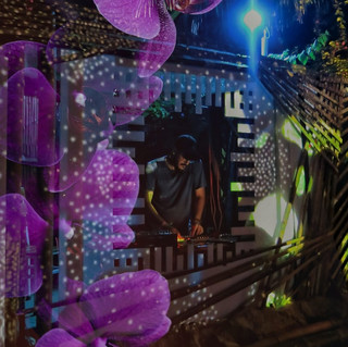 Orkidz cover