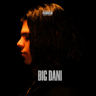 BIGDANI