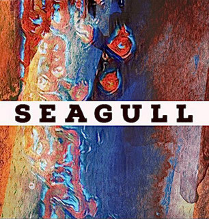 Seagull