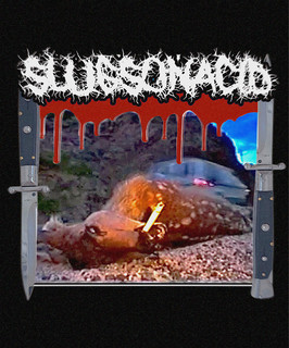 slugsonacid