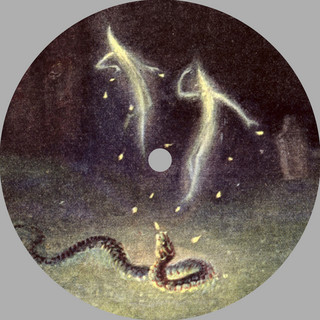 Will O' Wisp Photo