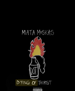 Mata Moscas