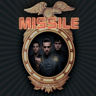 Missile cover