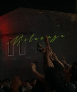 MOLEOAGE