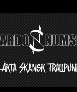 SARDO NUMSPA poster