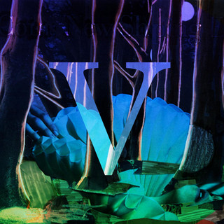 vonLewald Photo