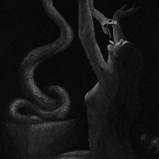 Krater cover