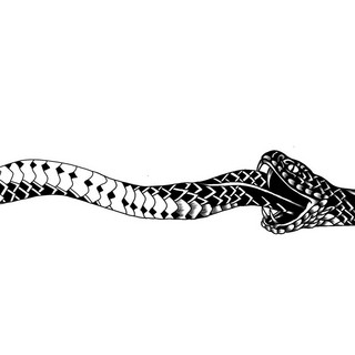 aerocobra