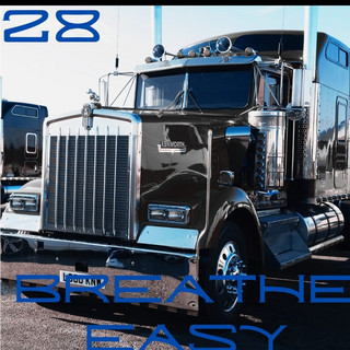 28