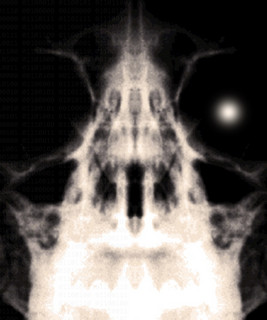40 Octaves Below Photo