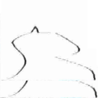 Kniht
