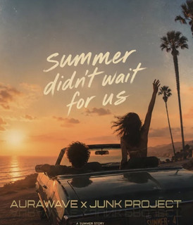 Junk Project poster