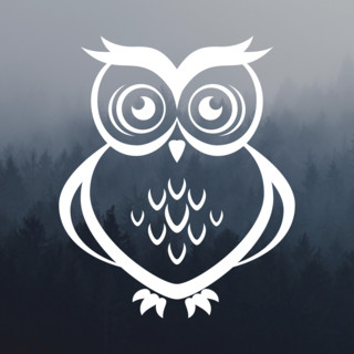 Laughing Owls Photo