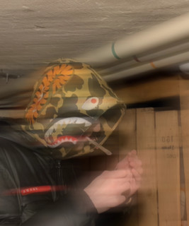 SCAM3R