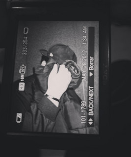 Trayed V Photo