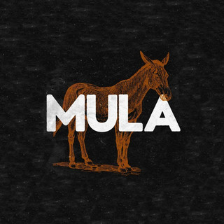 Mula