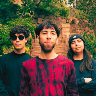 El Significado de Las Flores poster