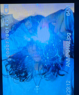 Leilene