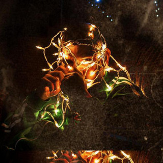 Radix Borealis
