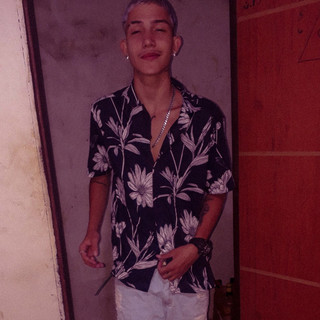 Vilon VL
