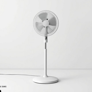 White Noise Radiance poster
