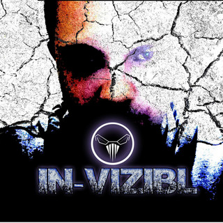 In-Vizibl