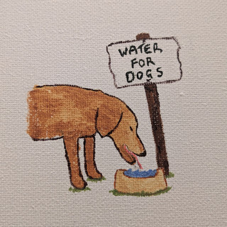 Water For Dogs