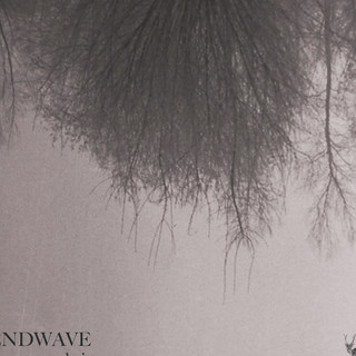 Endwave