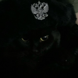Lil Cain