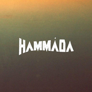 Hammada Photo