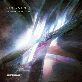 Kim Cosmik cover