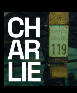 Charlie 119